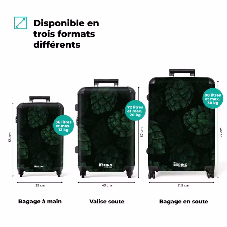 Valise - upload-6a7060c5f24ac-284-gigapixel-standard-v2-15x — 3