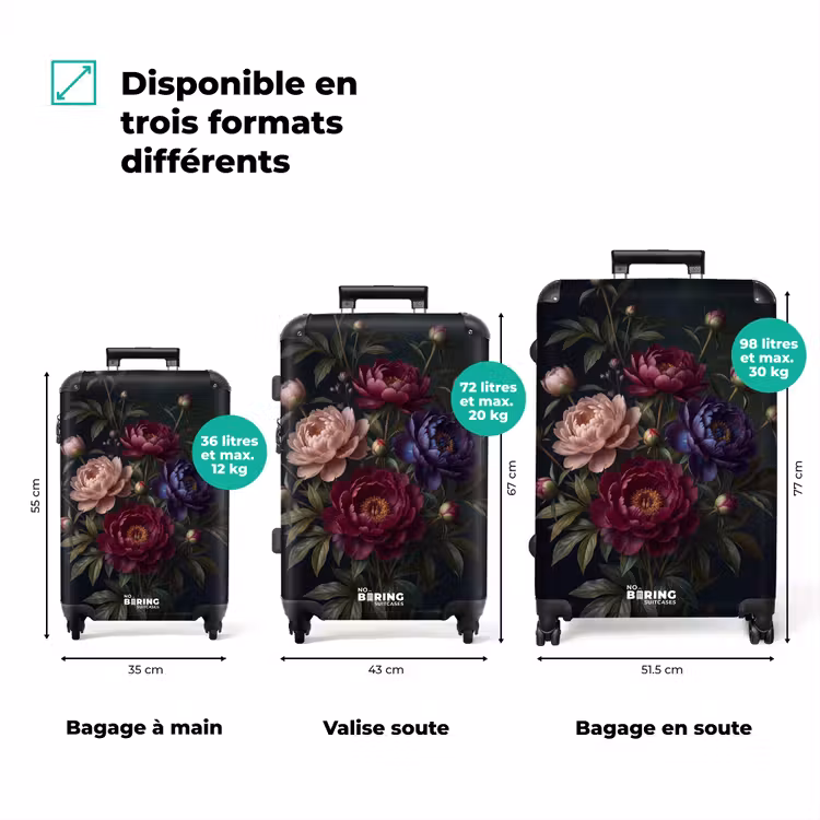 Valise - upload-6a7ed0f855c77-322 — 1