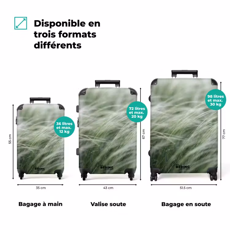 Valise - Herbe - Flou - Nature - Vert - Doux — 3