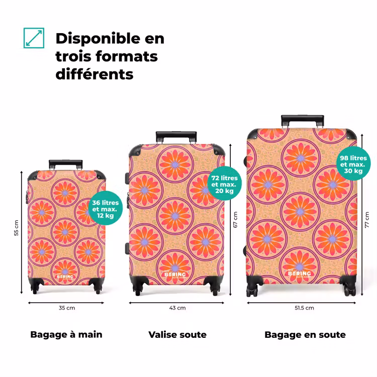 Valise - Motif - Fleurs - Décoratif - Coloré - Moderne — 1