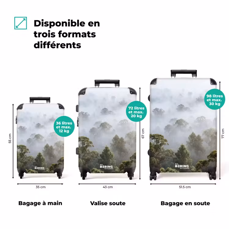 Valise - Nature - Brume - Forêt - Matin - Or — 3