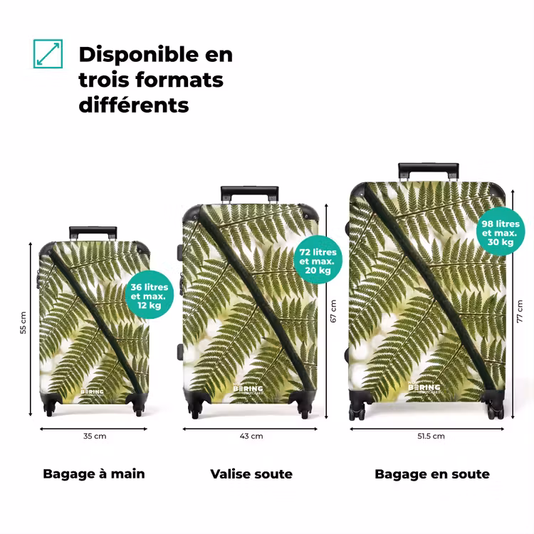 Valise - Plante - Feuille - Nature - Vert - Détail — 3