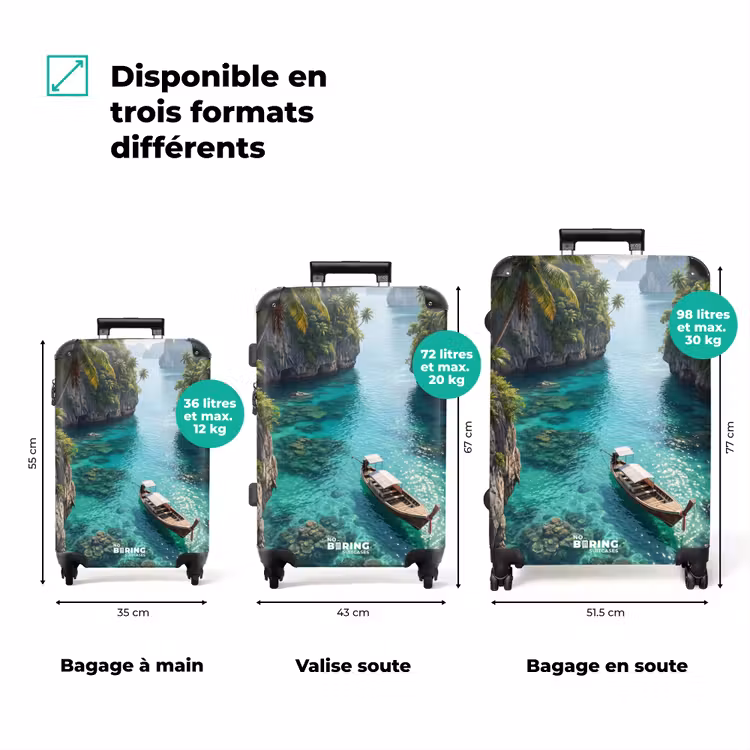 Valise - Île - Tropical - Eau - Palmiers - Nature — 3