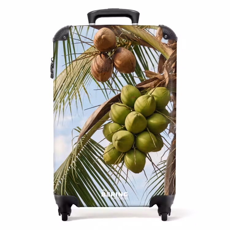 Valise - Noix de coco - Arbre - Tropical - Nature - Vert — 1