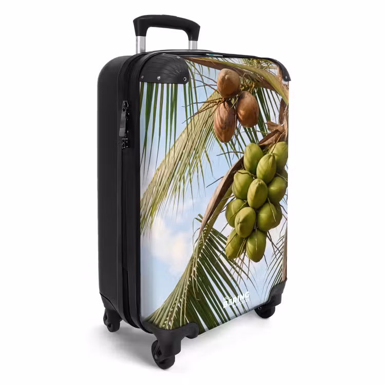 Valise - Noix de coco - Arbre - Tropical - Nature - Vert — 2