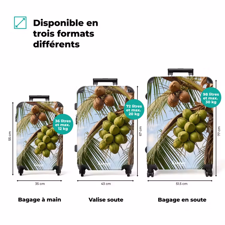 Valise - Noix de coco - Arbre - Tropical - Nature - Vert — 3