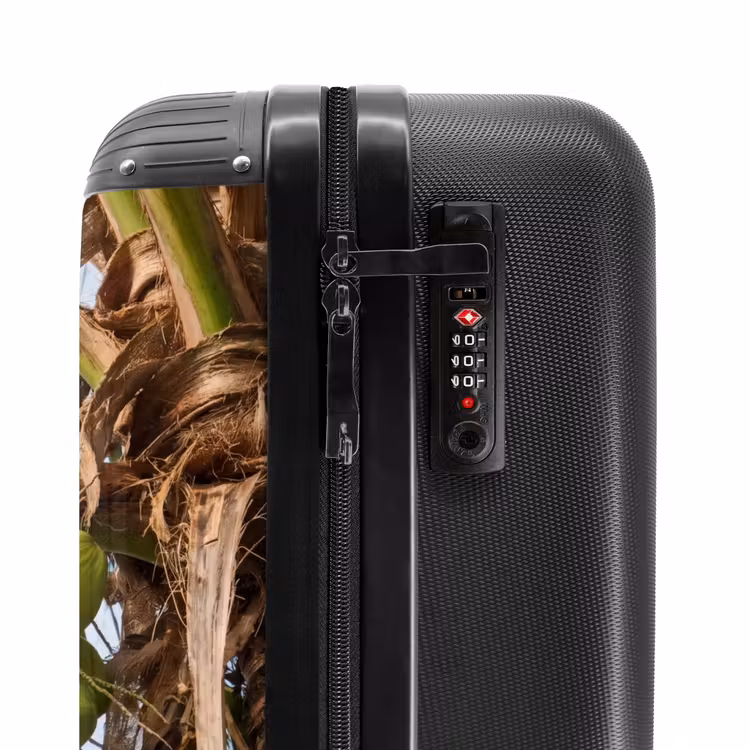 Valise - Noix de coco - Arbre - Tropical - Nature - Vert — 6