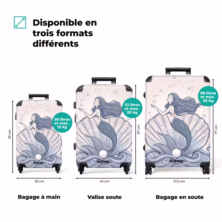 Valise - upload-6a9531c6acde3-59 — 3