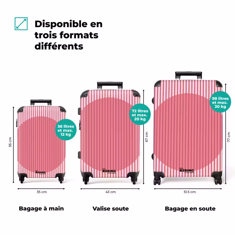 Valise - Résumé - Rayures - Ovale - Rose - Moderne — 1