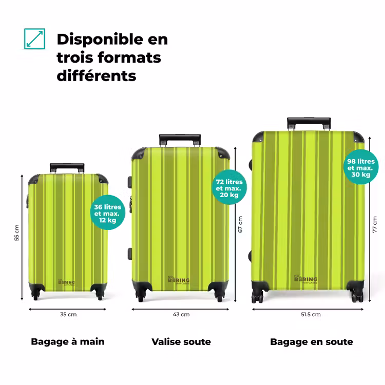 Koffer - Rayures verticales - Vert clair - Vert foncé — 1