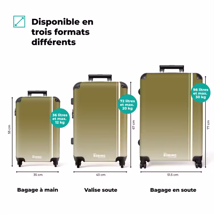 Koffer - Vert - Blanc - Dégradé — 1
