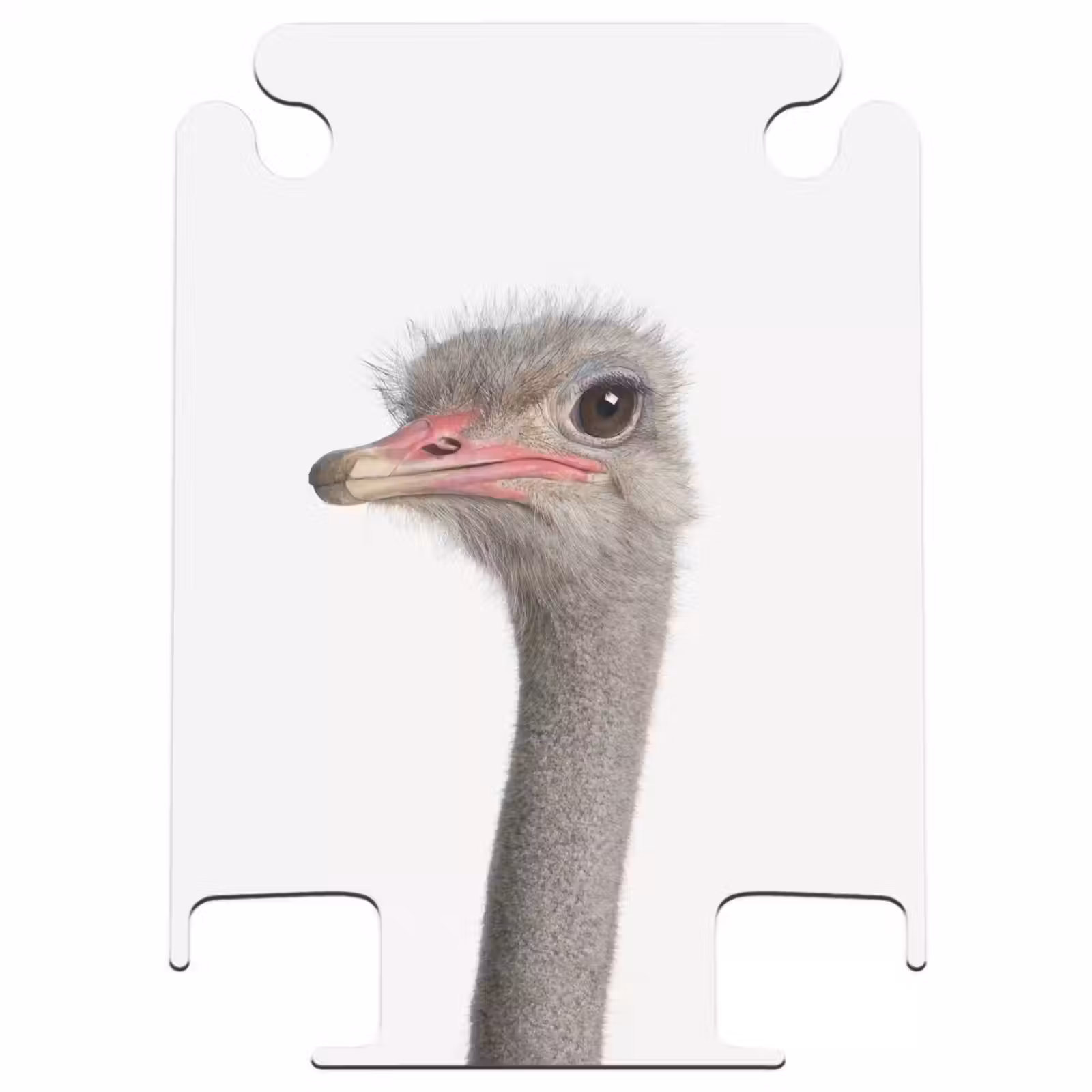 CaseSwap™ - Autruche Siebrina — 1