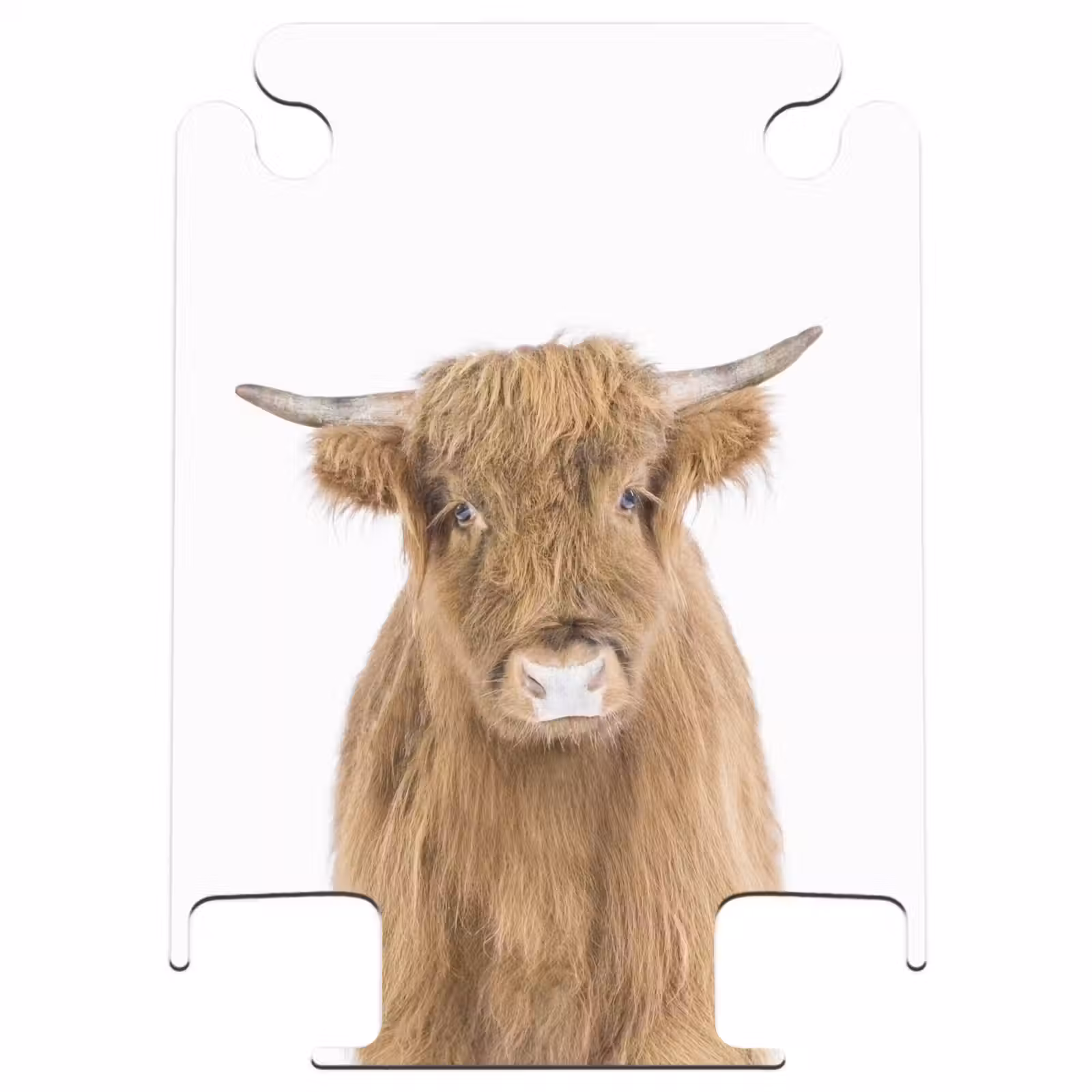 CaseSwap - Halbe Hooglander — 1