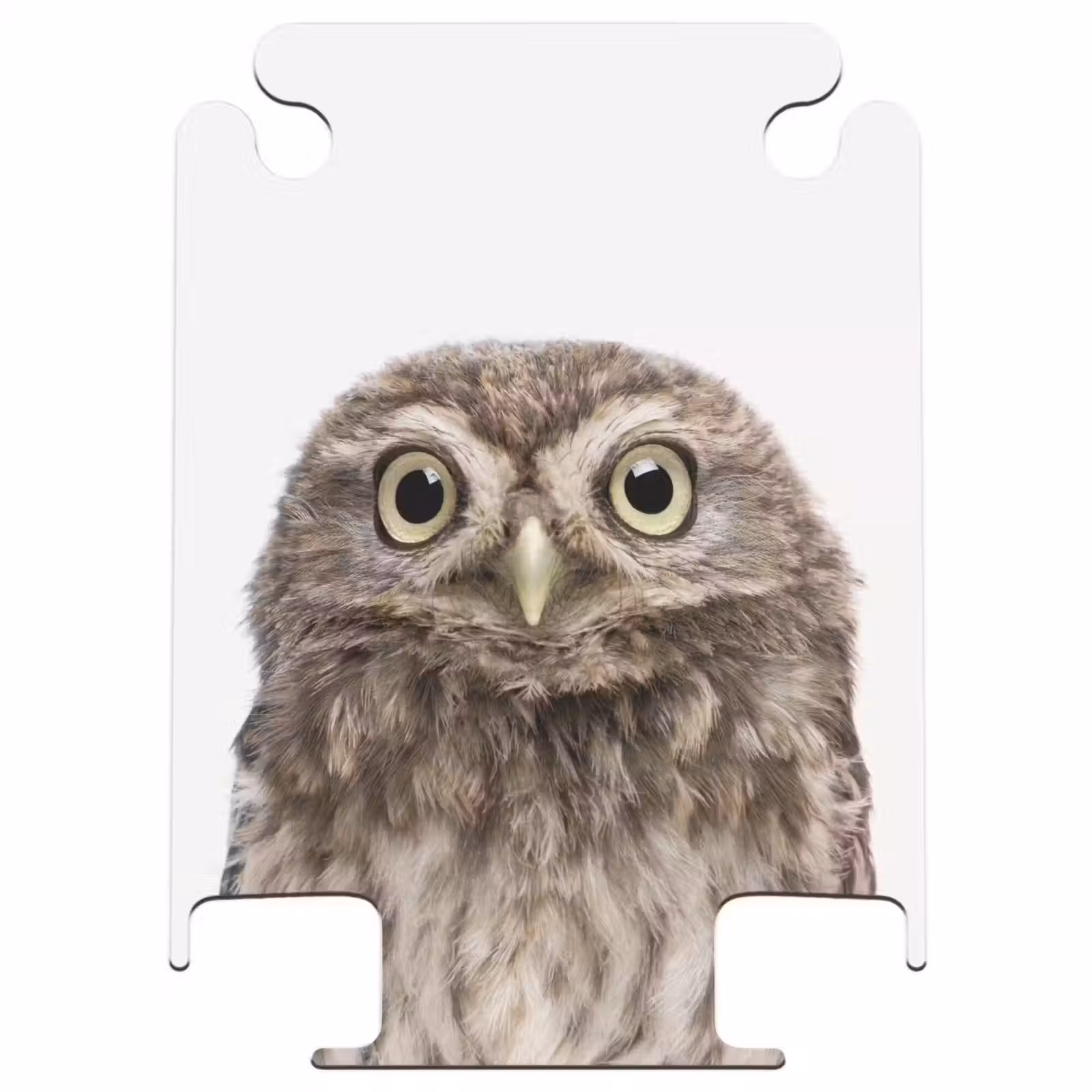 CaseSwap™ - Hibou d'Ulke — 1