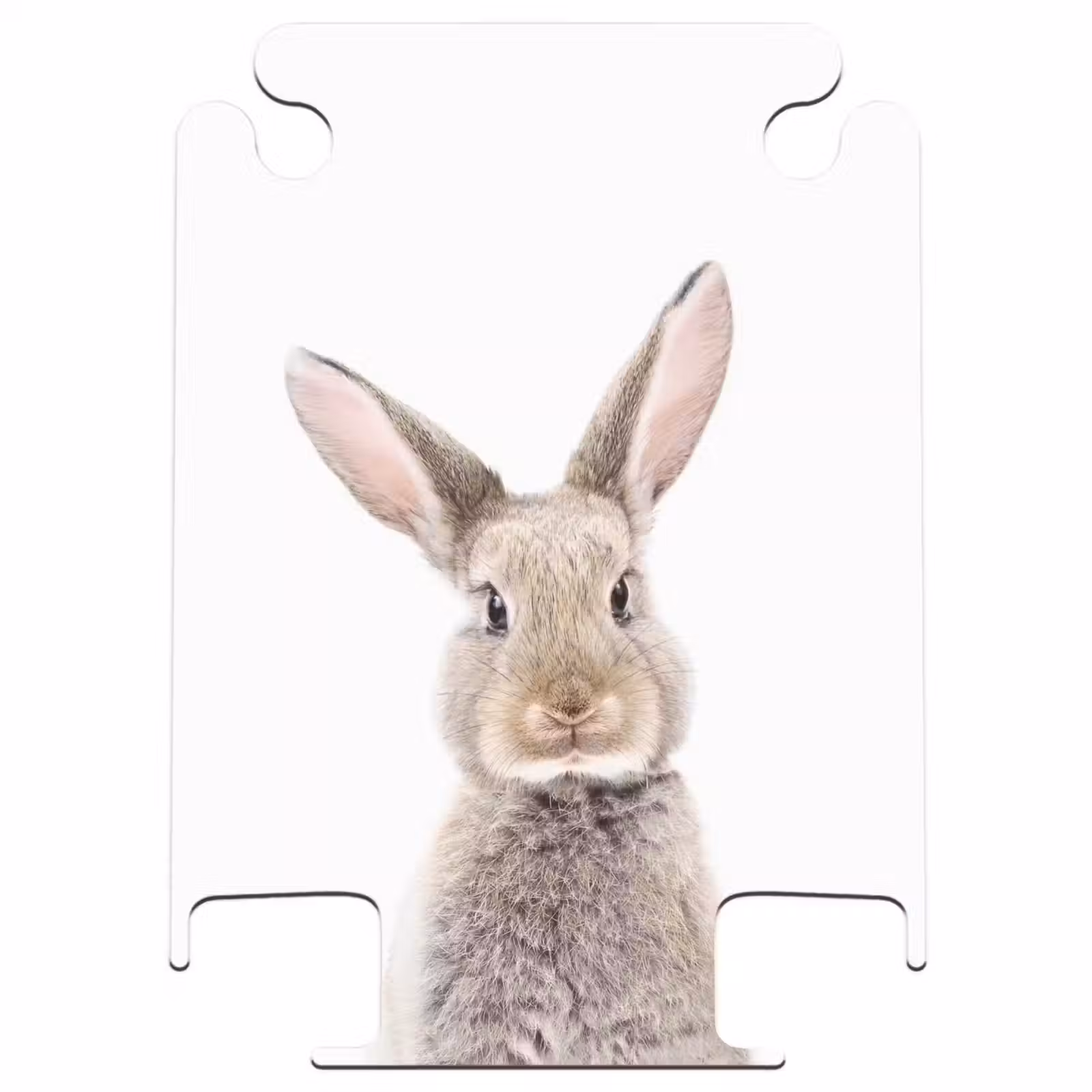 CaseSwap™ - Koen Rabbit — 1