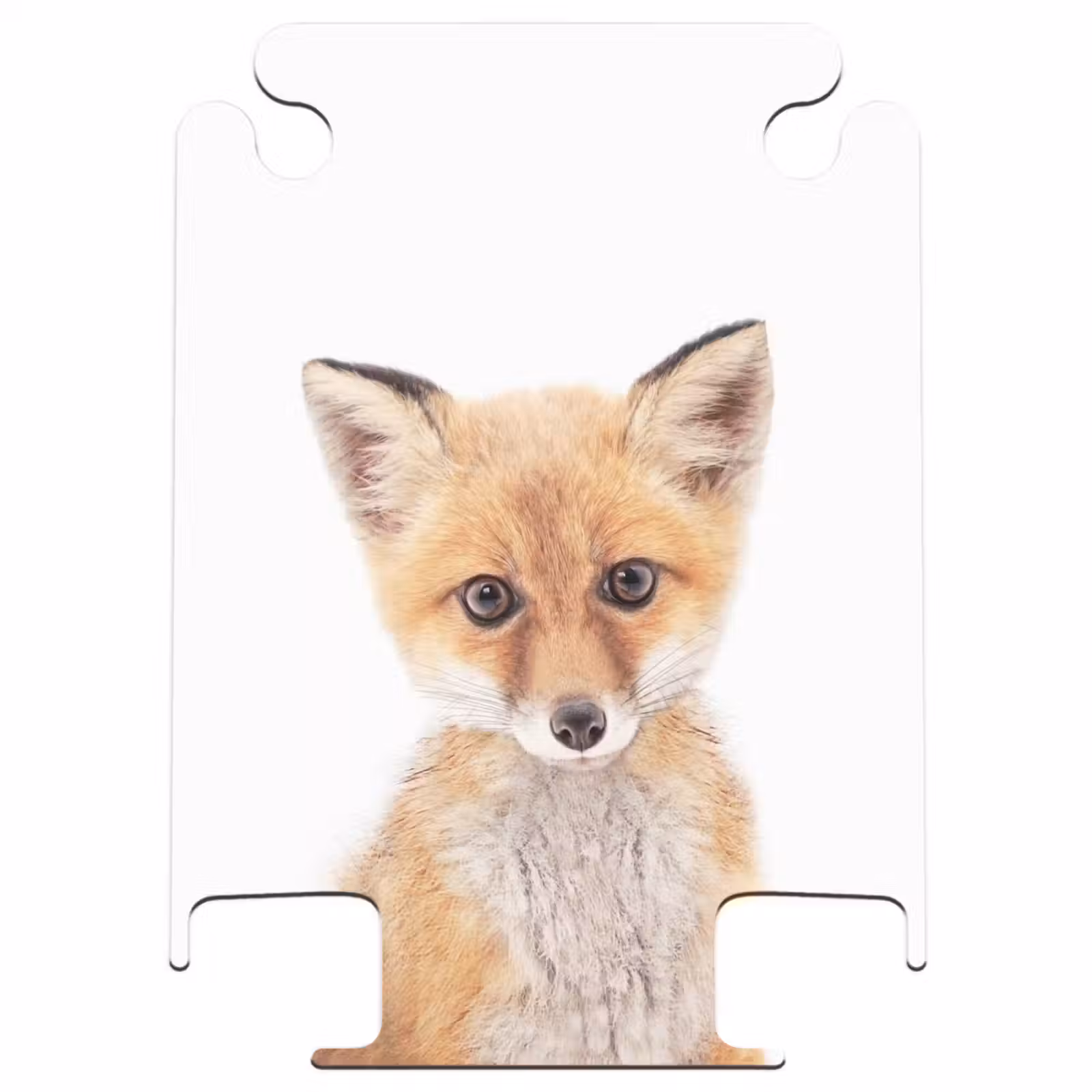 CaseSwap - Vicky Fox — 1
