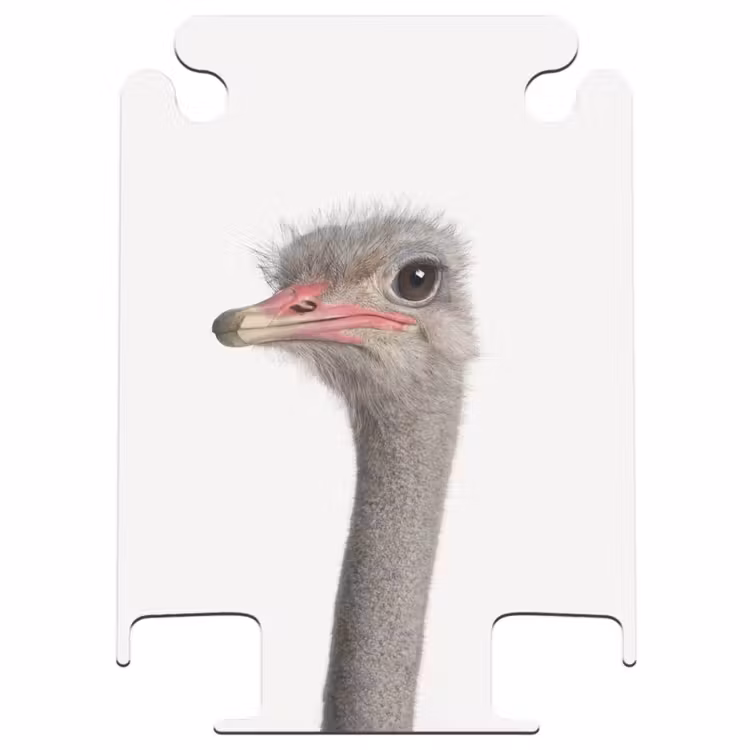 CaseSwap™ - Autruche Siebrina — 1