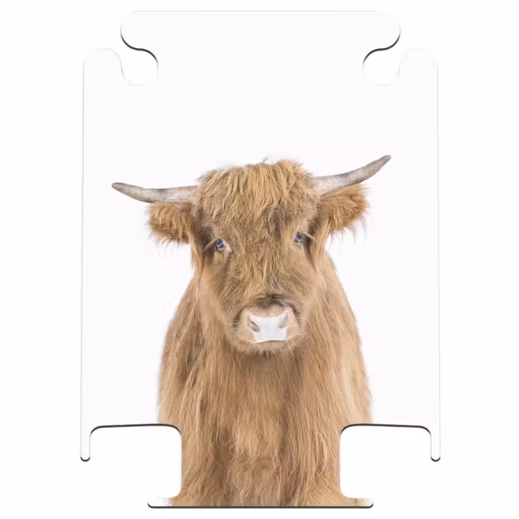CaseSwap - Halbe Hooglander — 1