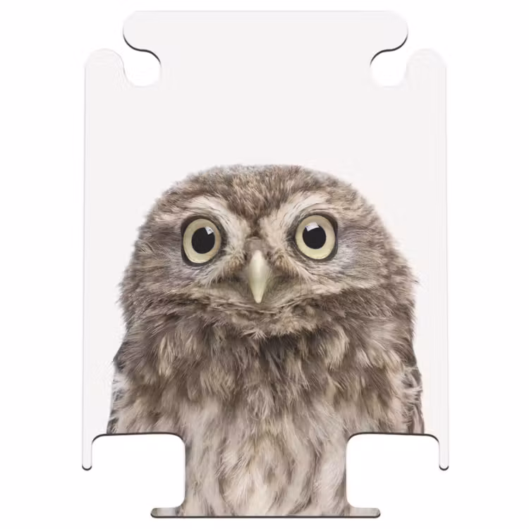 CaseSwap™ - Hibou d'Ulke — 1
