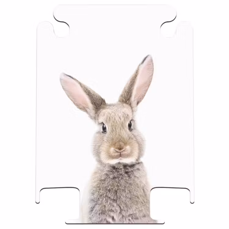 CaseSwap™ - Koen Rabbit — 1