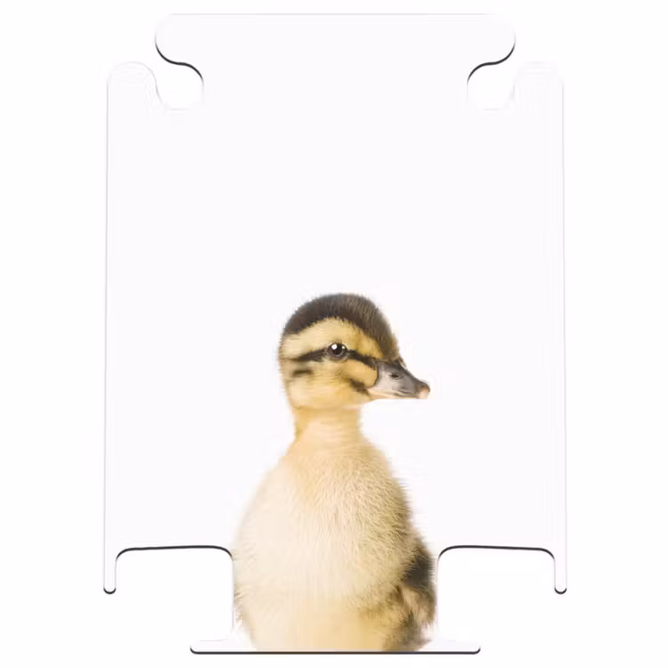CaseSwap - Le canard marguerite — 1