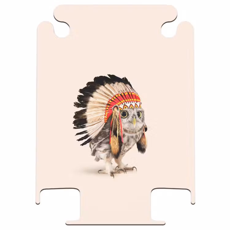 CaseSwap™ - Le hibou en tant qu'Indien — 1