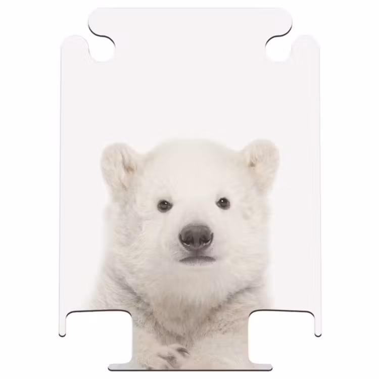 CaseSwap™ - Ours polaire mignon — 1