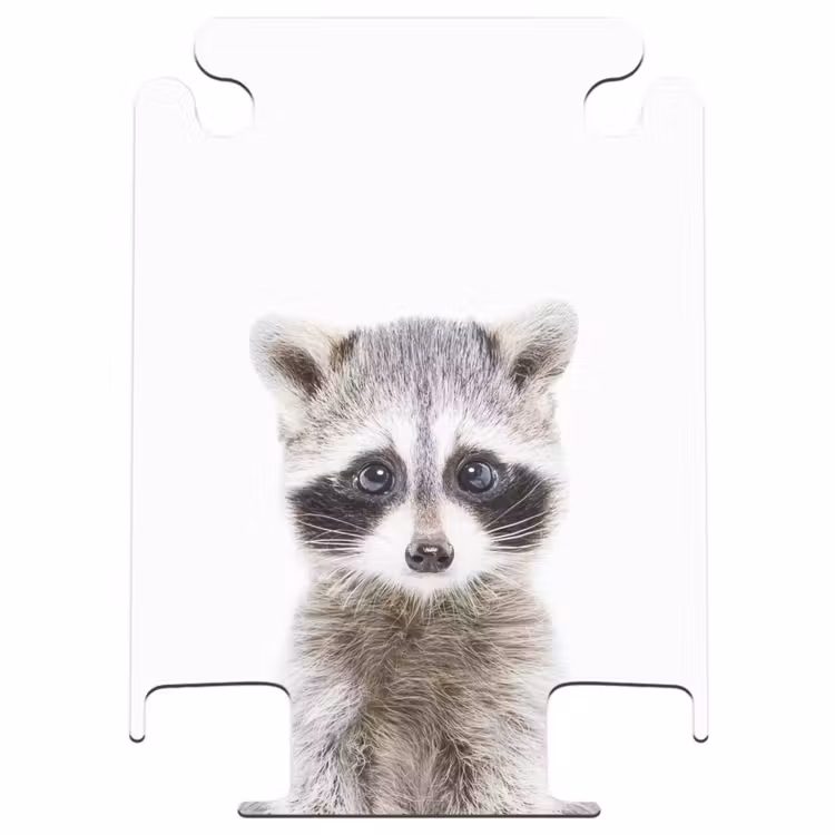 CaseSwap - Rachid Racoon — 1