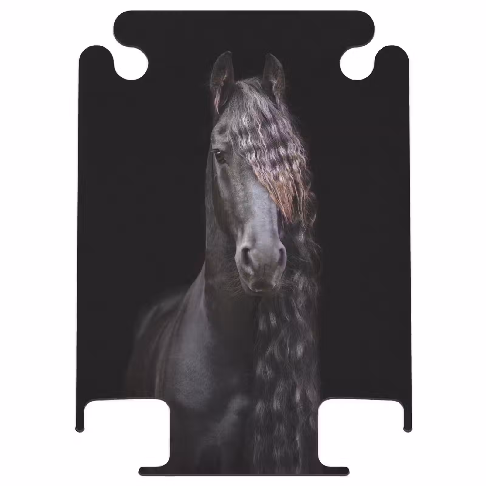 CaseSwap - Étalon frison — 1