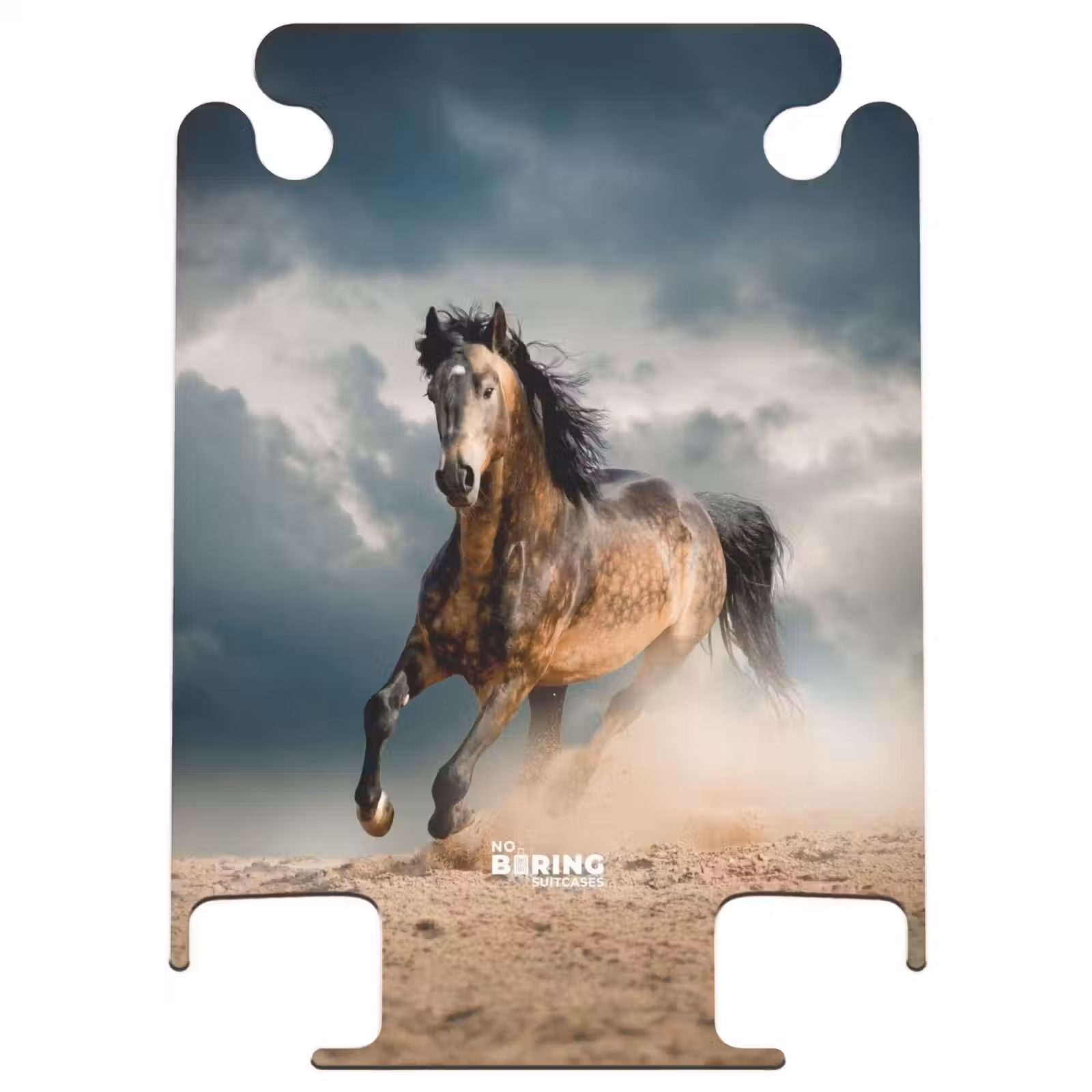 CaseSwap - Sandy dans la tempête — 1