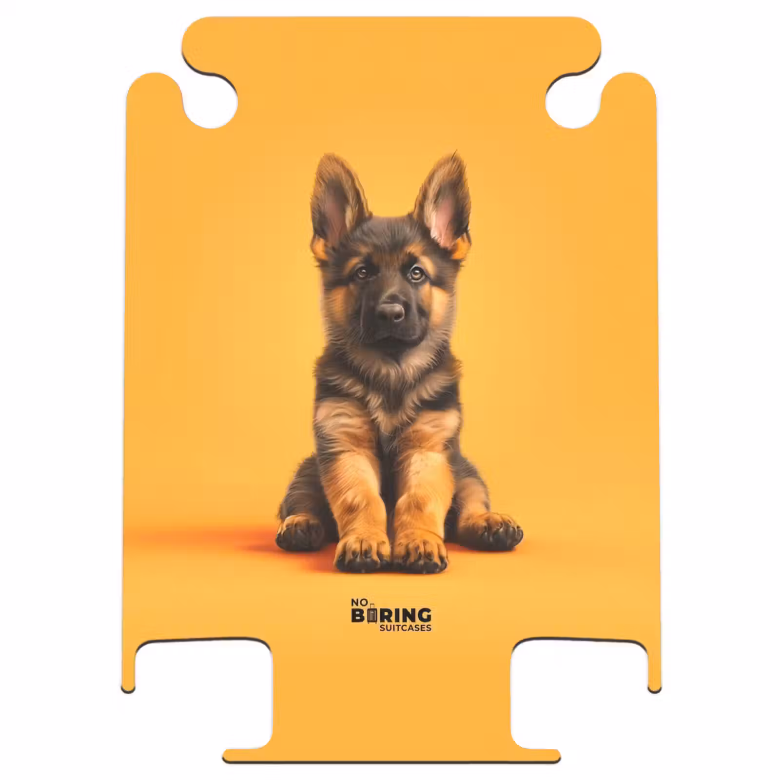 CaseSwap - Hein berger — 1