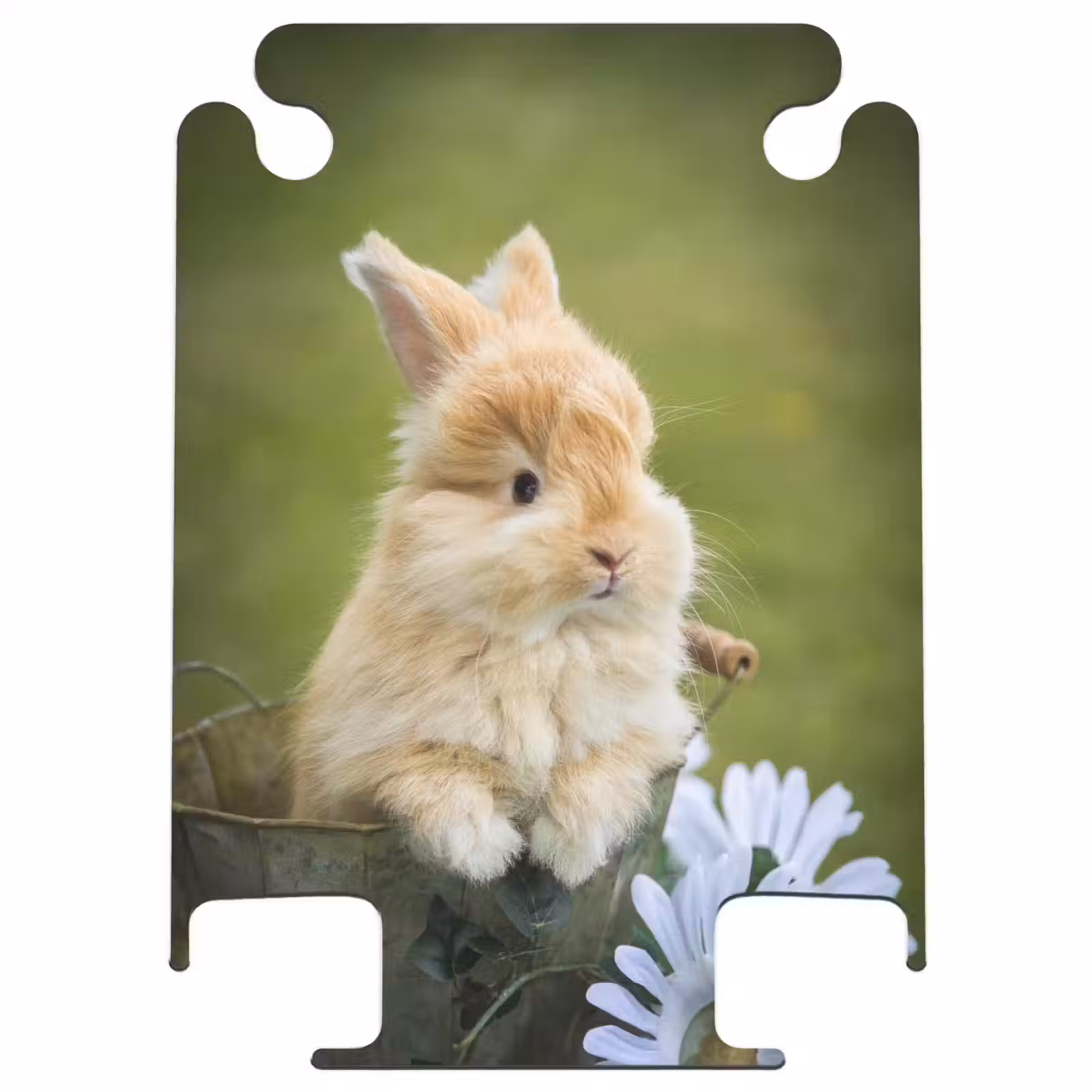 CaseSwap™ - Lapin dans un pot de fleurs — 1