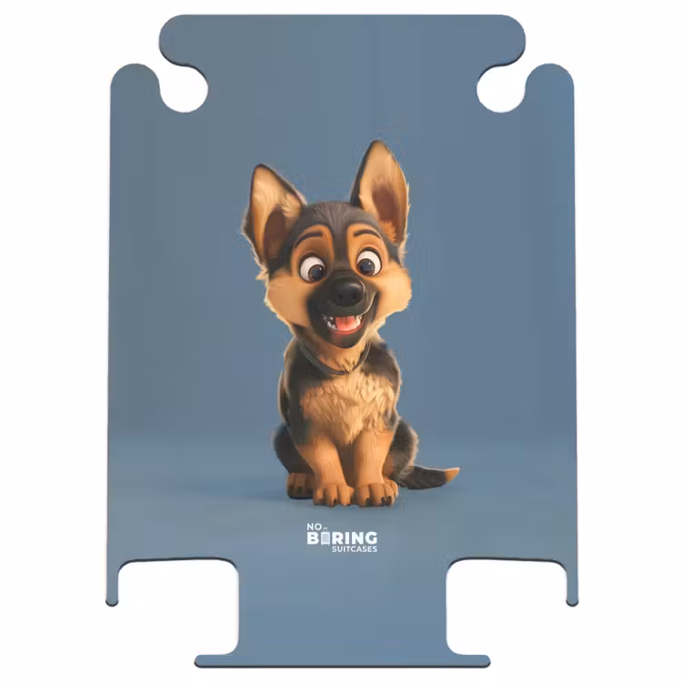 CaseSwap - Hylke Shepherd — 1