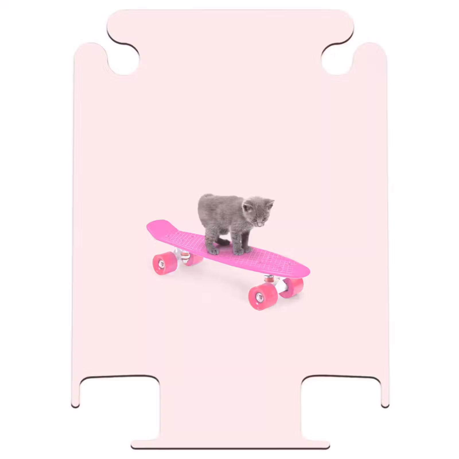 CaseSwap - Les moustaches — 1