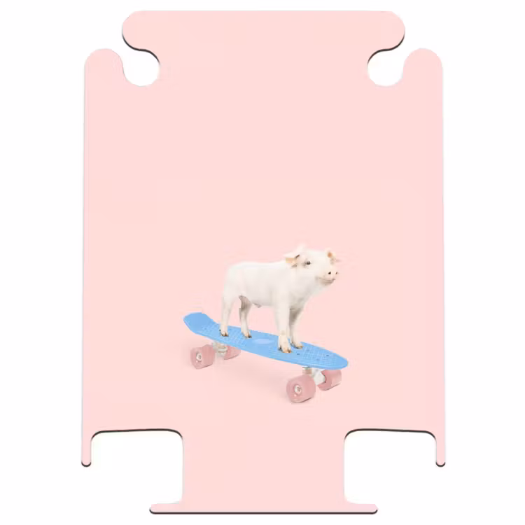 CaseSwap™ - Transport de porcs — 1