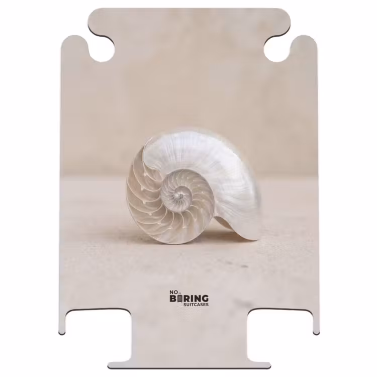 CaseSwap™ - Coquille - Spirale - Beige — 1