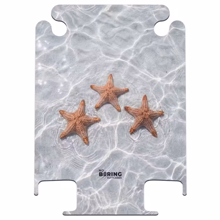 CaseSwap™ - Étoile de mer - Eau - Clair — 1