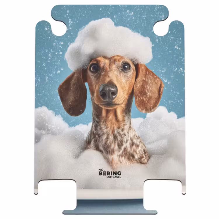 CaseSwap™ - Teckel - Bain - Mousse - Gouttes d'eau — 1