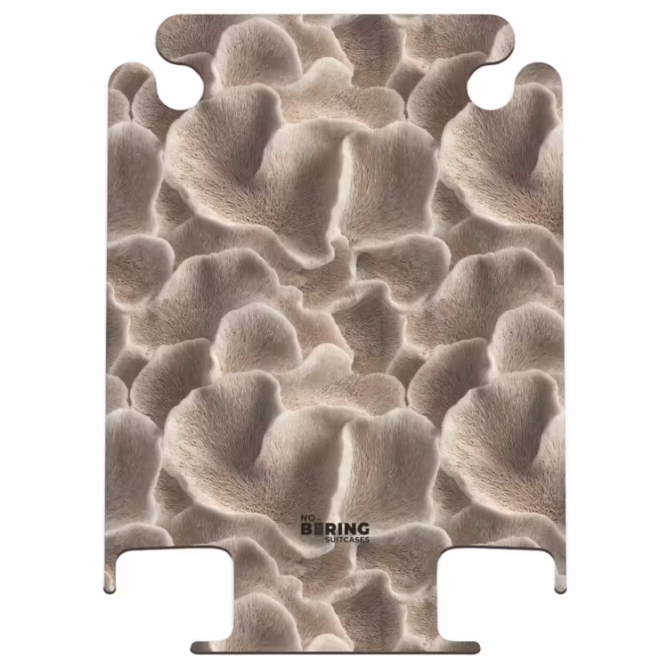 CaseSwap - Forme éventail - Beige - Texture fibre — 1