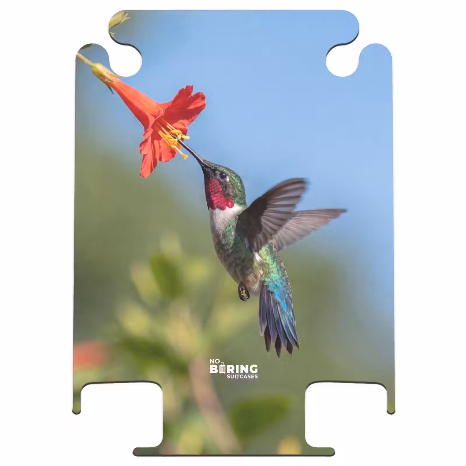 CaseSwap™ - Colibri - Fleur - Nature - Vert — 1