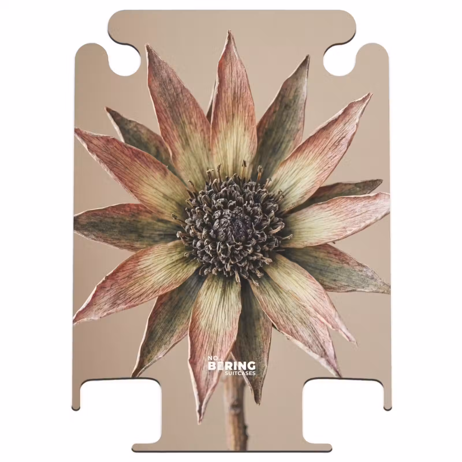 CaseSwap™ - Fleur séchée - Protea - Vintage - Beige - Rustique — 1
