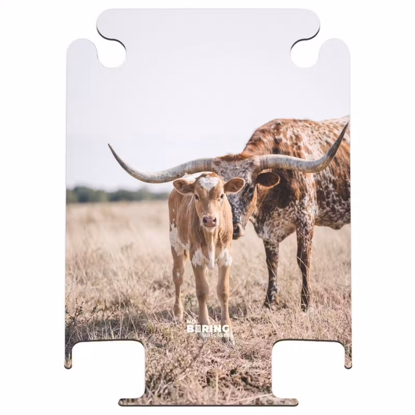 CaseSwap - Longhorn du Texas - Veau - Pâturage - Animaux — 1
