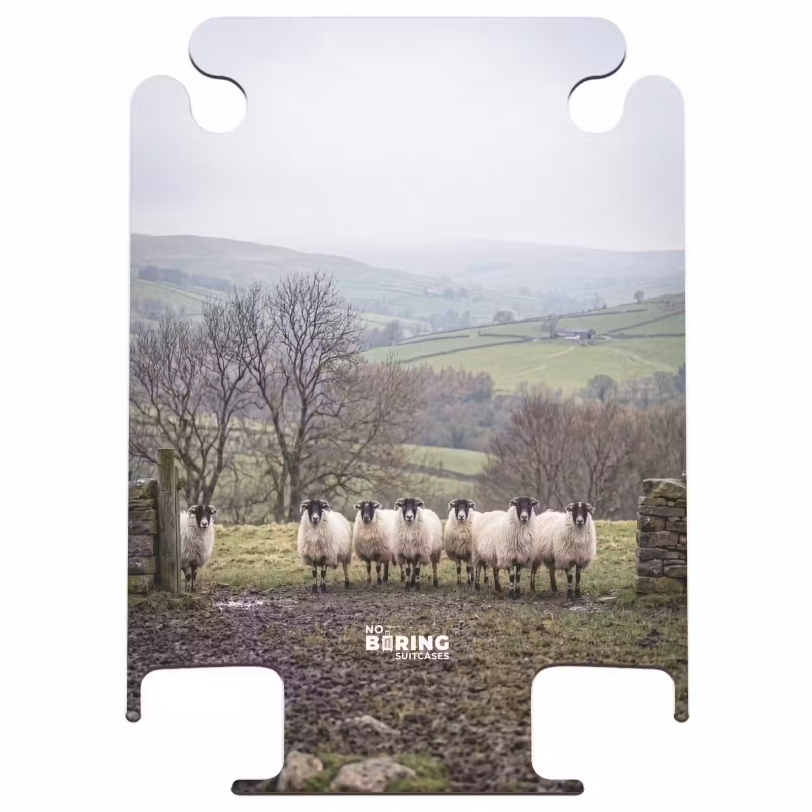 CaseSwap™ - Moutons - Chemin - Prairie - Animaux - Campagne — 1