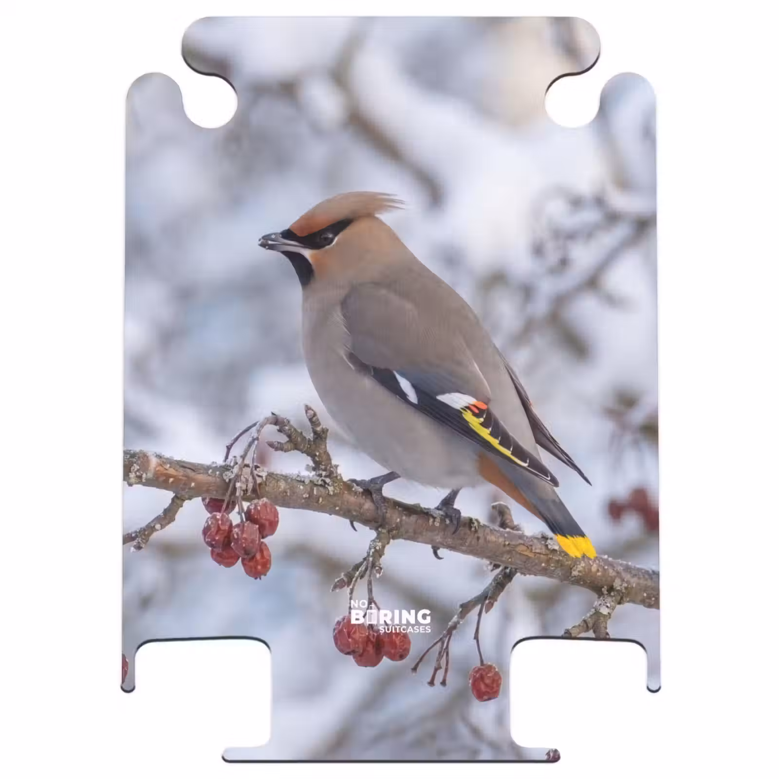 CaseSwap™ - Pitire - Baies - Hiver - Nature — 1