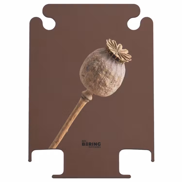 CaseSwap™ - Boule de pavot - Fleur séchée - Marron - Minimaliste — 1