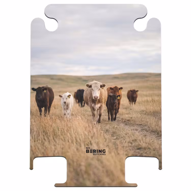 CaseSwap™ - Bovins - Troupeau - Paysage - Prairie - Calme — 1