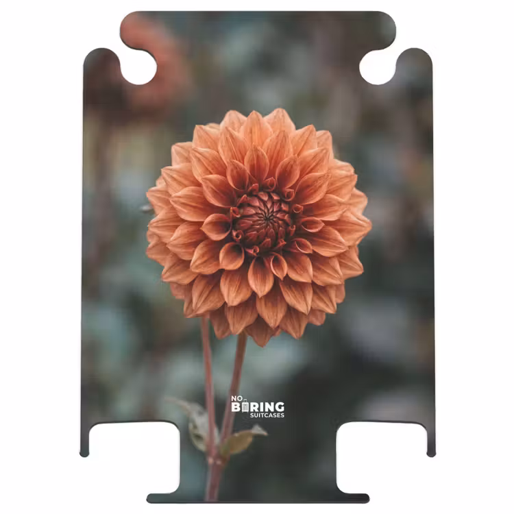 CaseSwap™ - Dahlia - Fleur - Nature - Chaleureux — 1