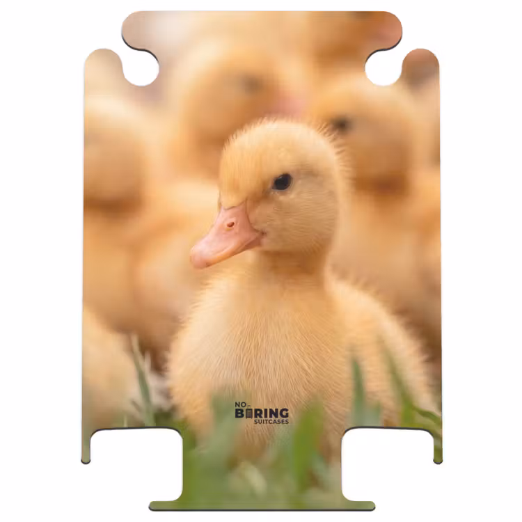 CaseSwap™ - Flèche - Canard - Nature - Jaune — 1
