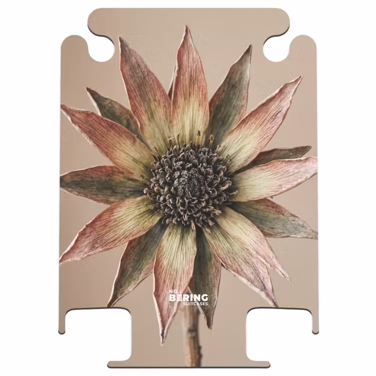 CaseSwap™ - Fleur séchée - Protea - Vintage - Beige - Rustique — 1