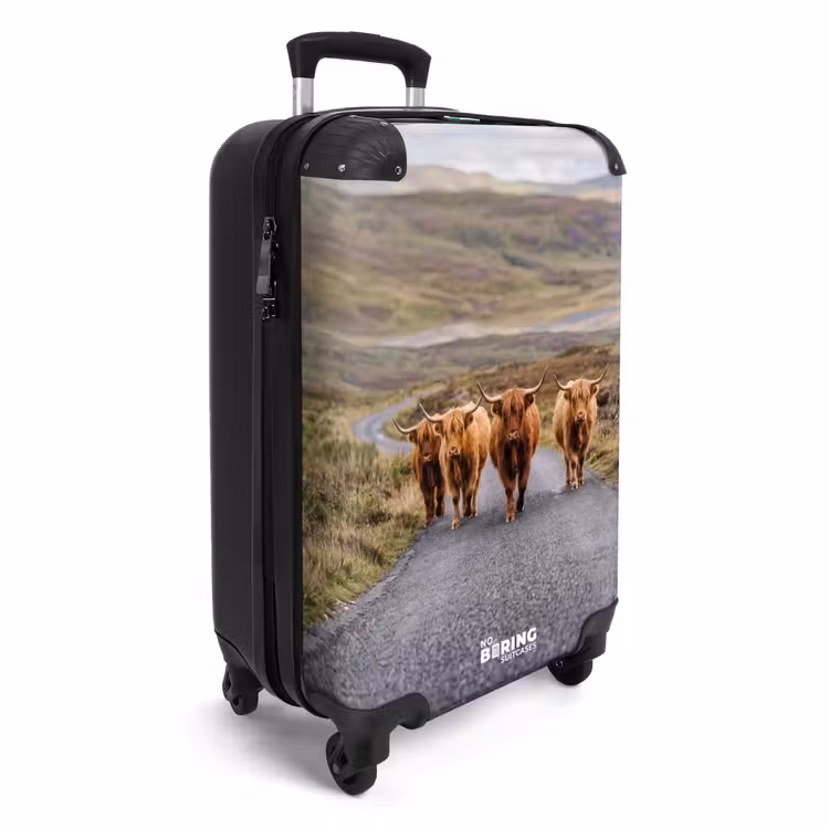 CaseSwap - Highlanders écossais - Route - Paysage - Troupeau — 2